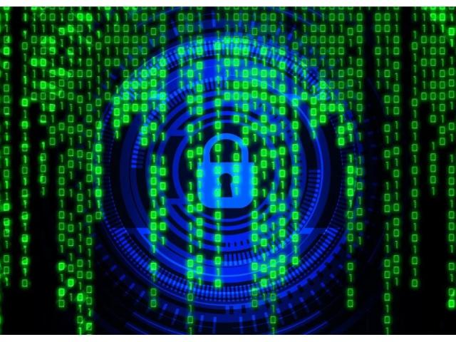 IT Europe Consulting #2